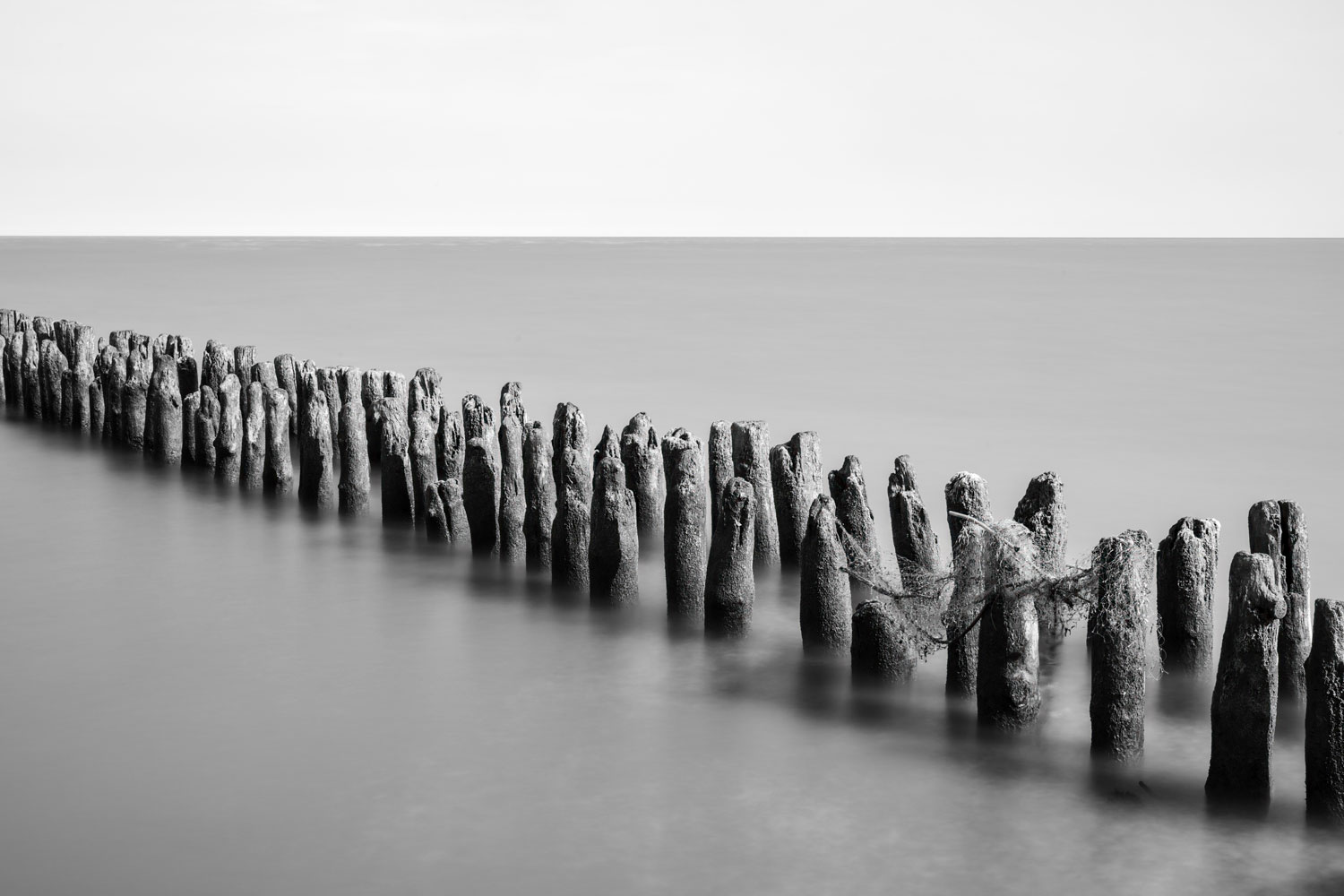 po-delta
