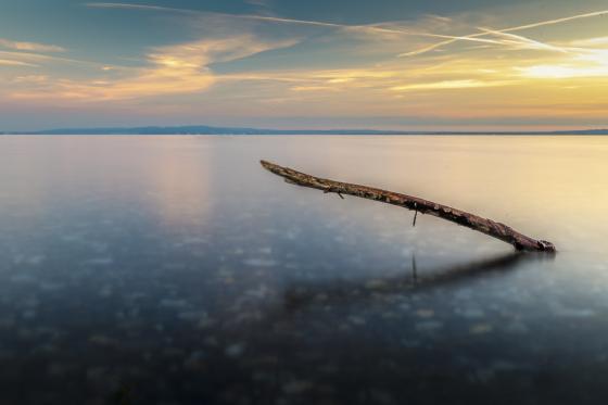 Bodensee