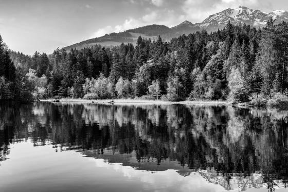 Chapfensee oberhalb Mels