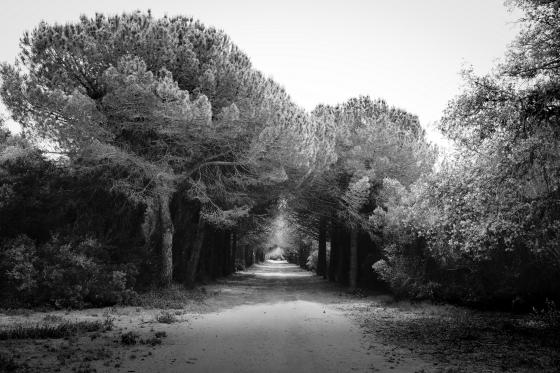 Road to Perdition