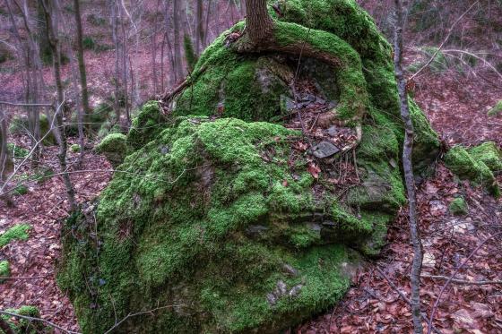 karger Grund