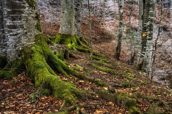 Wanderweg Gruben