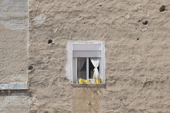 Blumenfenster