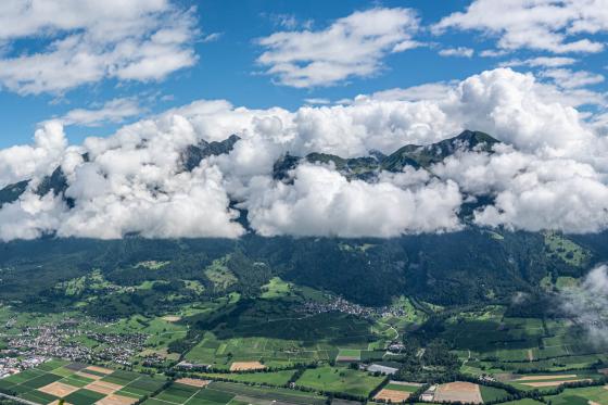 Herrschaft mit Schlagrahm