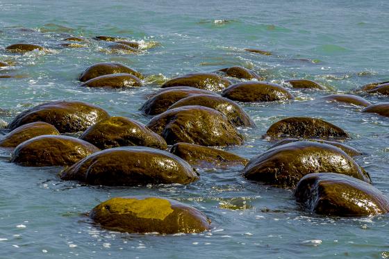 rocks (northern California)