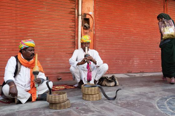 Schlangenbeschwörer Indien