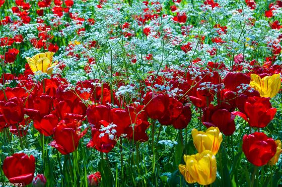 Insel Mainau: Blumeninsel im Bodensee