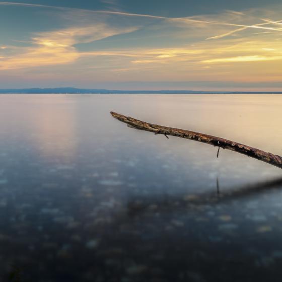 Bodensee