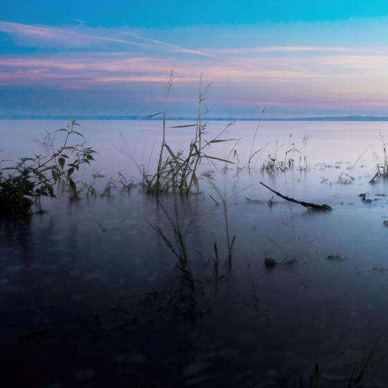 Bodensee 