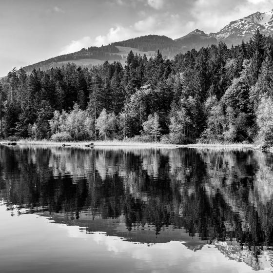 Chapfensee oberhalb Mels