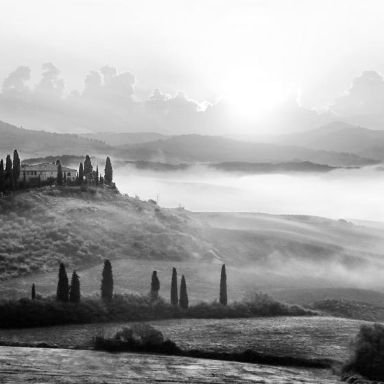 Belvedere
