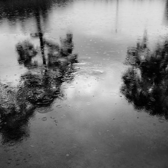 Spiegelung
