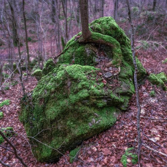 karger Grund