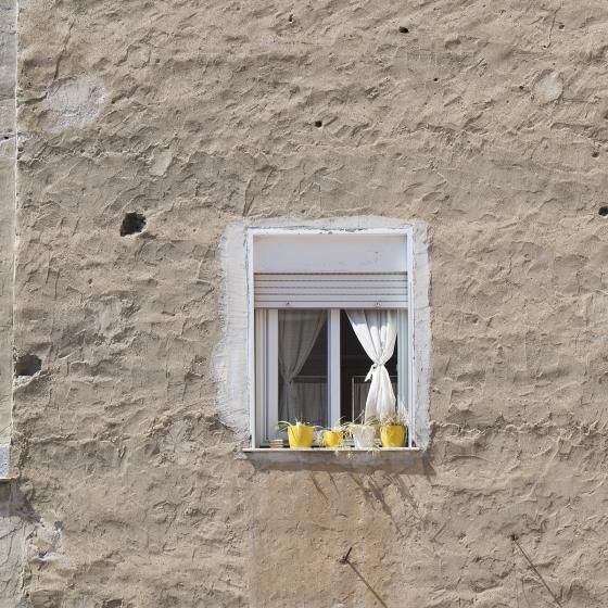 Blumenfenster