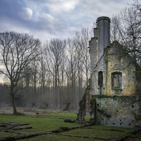 Cotswolds III