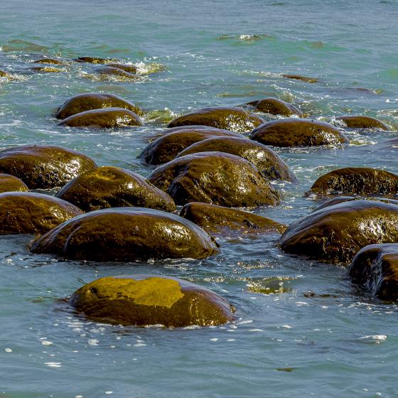rocks (northern California)