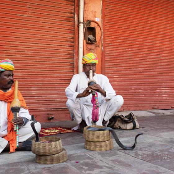 Schlangenbeschwörer Indien